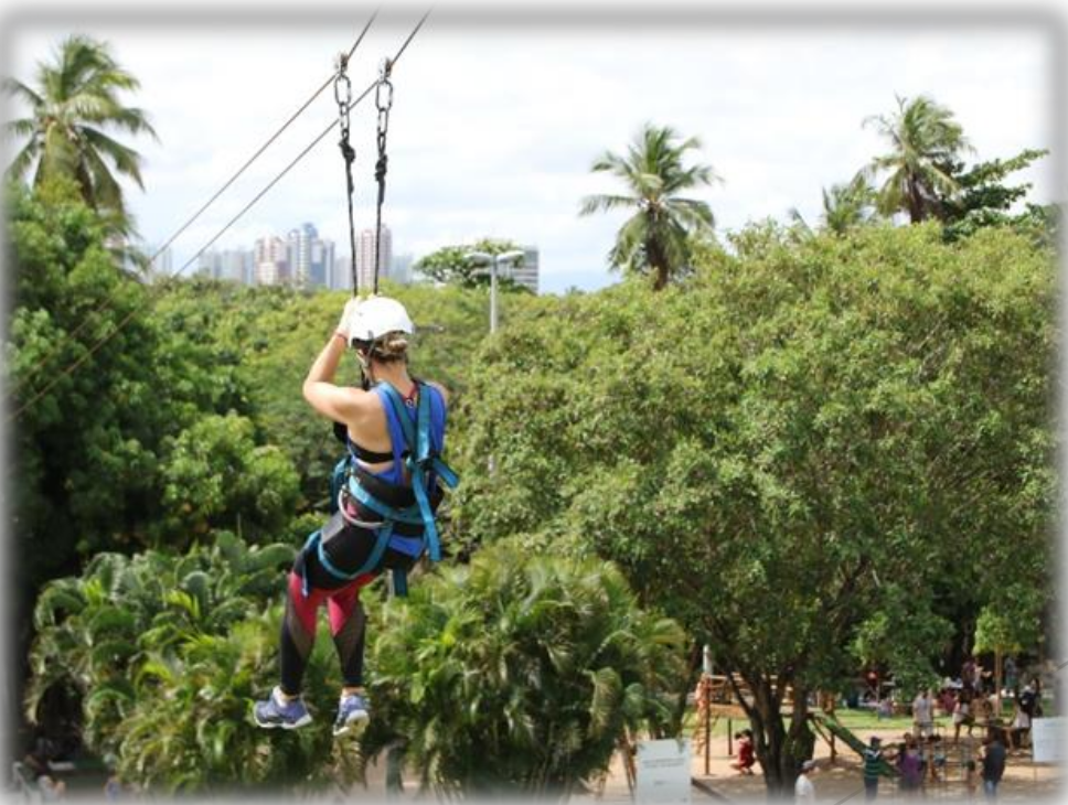 Governo do Ceará inaugura Bosque do Bom Viver no Parque do Cocó - Governo  do Estado do Ceará