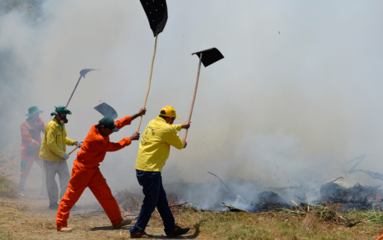 Governo decreta emergência ambiental para combater incêndios até janeiro de 2021