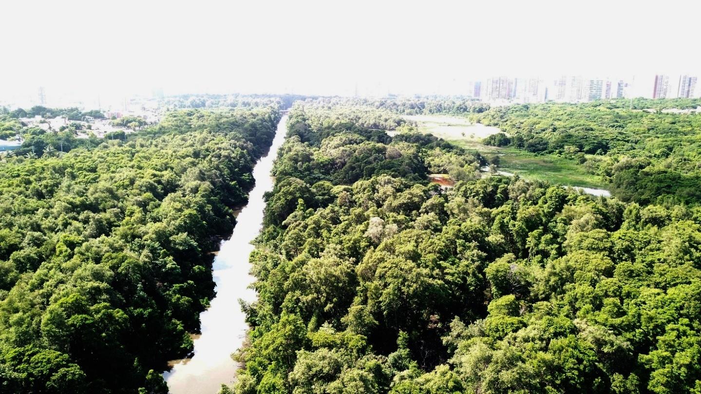 Governo do Ceará inaugura Bosque do Bom Viver no Parque do Cocó - Governo  do Estado do Ceará