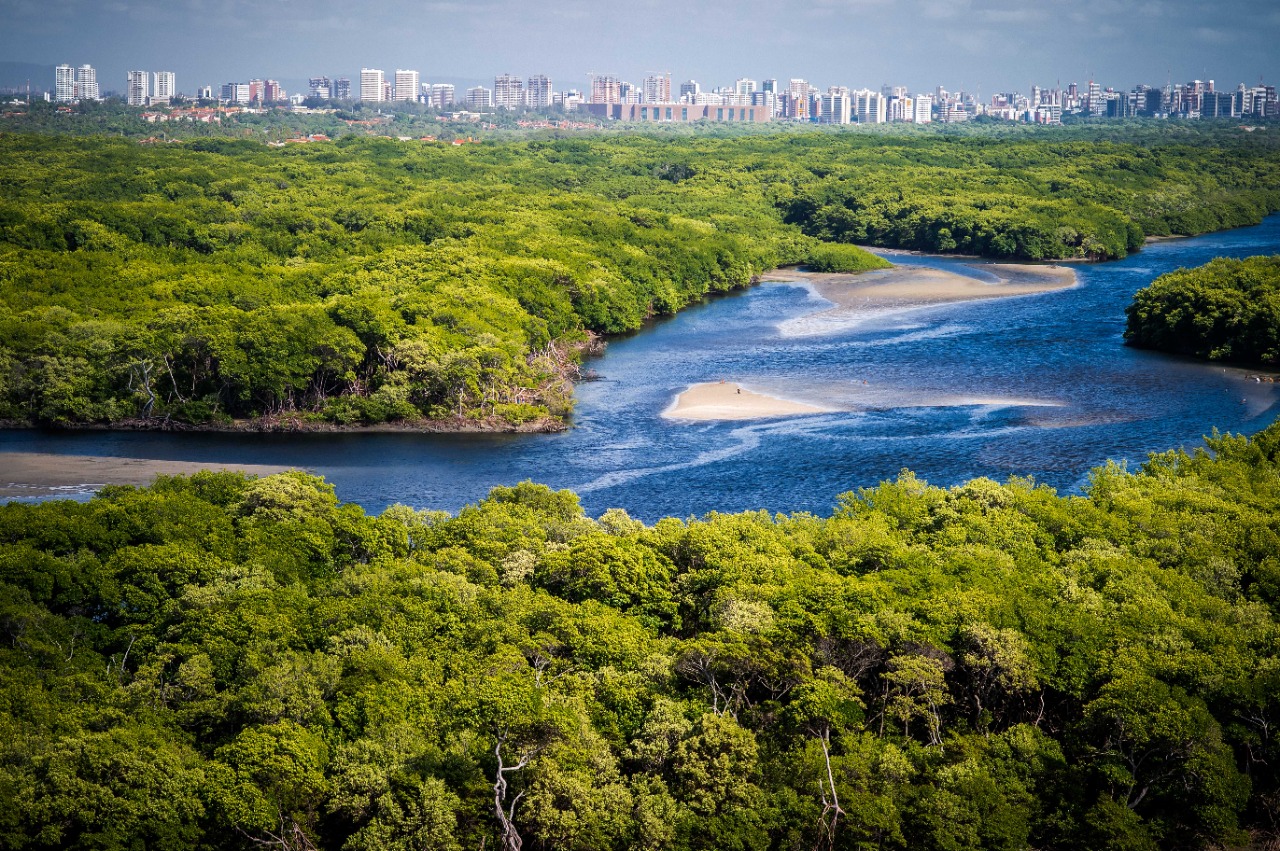 SEMA promove vasta programação no Junho Ambiental