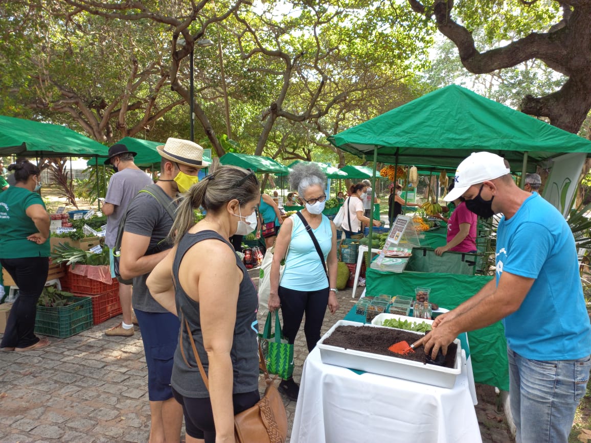 Feira Agroecológica na área Adahil Barreto encerra a Semana da Biodiversidade