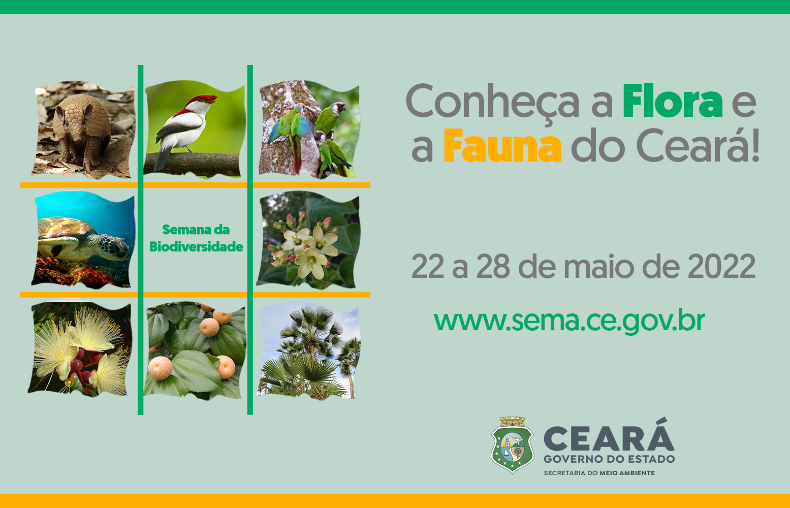 Semana da Biodiversidade convida: “Conheça a Flora e Fauna do Ceará”