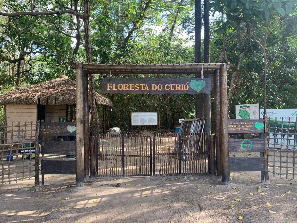 Governo do Ceará inaugura Bosque do Bom Viver no Parque do Cocó - Governo  do Estado do Ceará