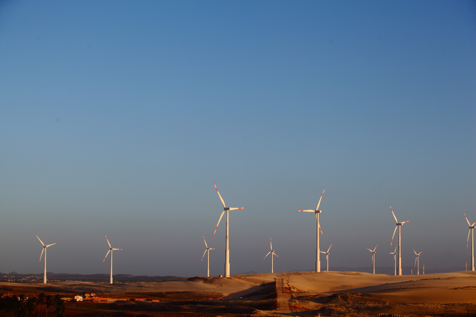 Ceará apresenta protagonismo em políticas ambientais e transição energética na COP 30