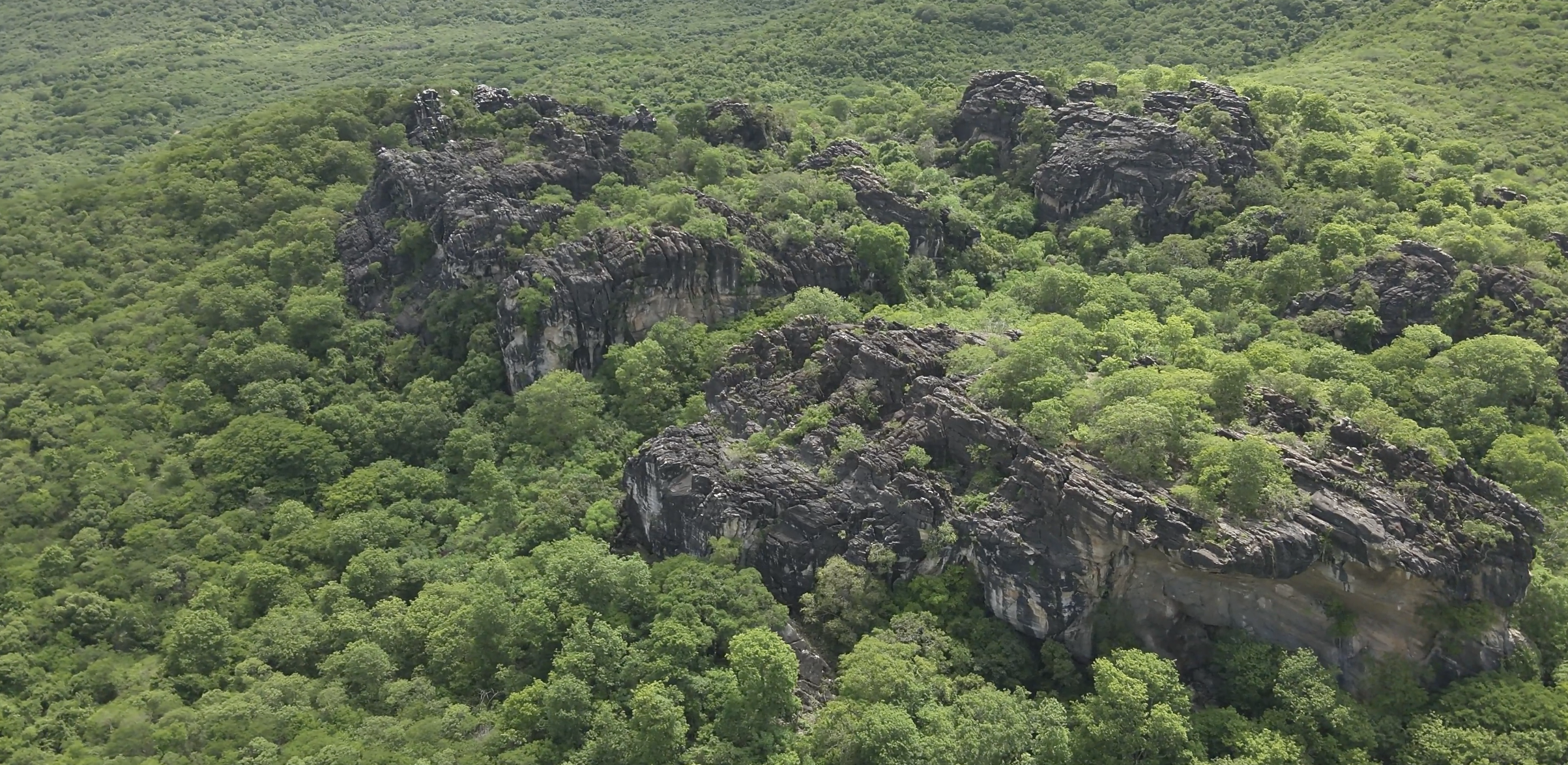Governo do Estado cria cinco novas unidades de conservação na Caatinga cearense