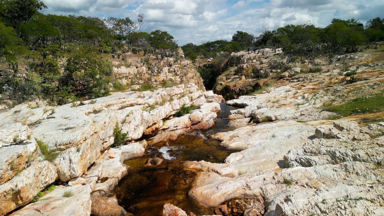 Parque Estadual das Carnaúbas é tema de documentário da Alece TV