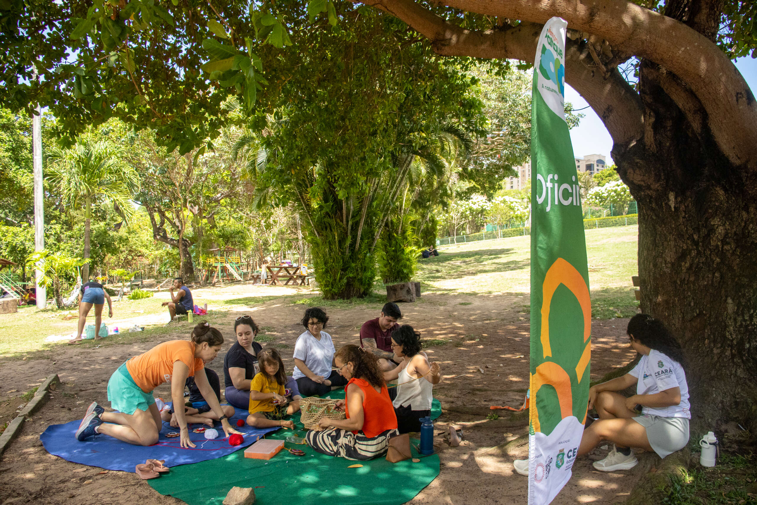 Vem pro Parque destaca circo e oficinas criativas no Parque Estadual do Cocó